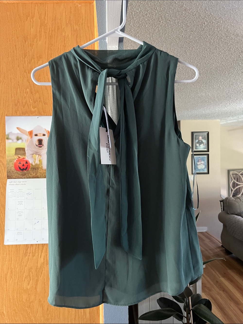 Tie-Neck Sleeveless Blouse in Forest Green